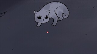 [Anime]The roaming cat's keeper used to tease it with a laser pointer