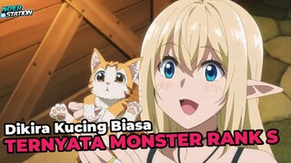 Dikira Kucing Biasa, Ternyata Monster Over Power Rank S