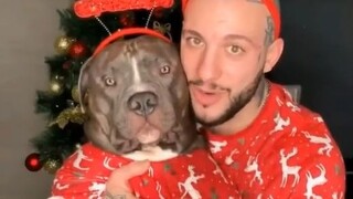 Satu tahun lalu, anjing jahat tersebut ketakutan hingga menderita depresi; sang pemilik mencoba berb