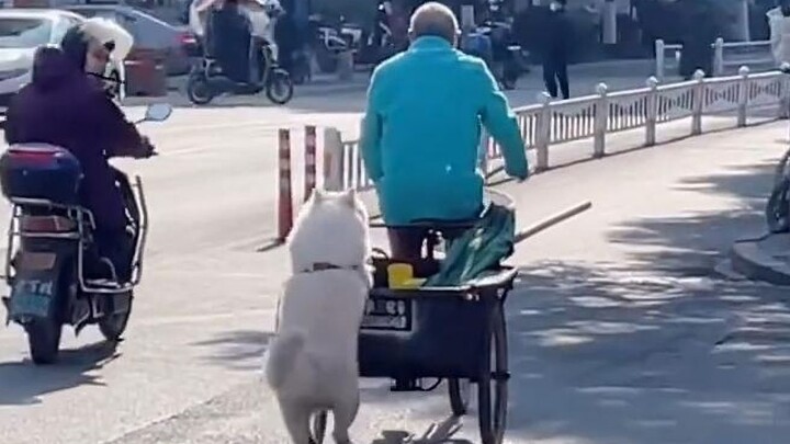 Grandpa, wait for me! I haven’t gotten on the bus yet!