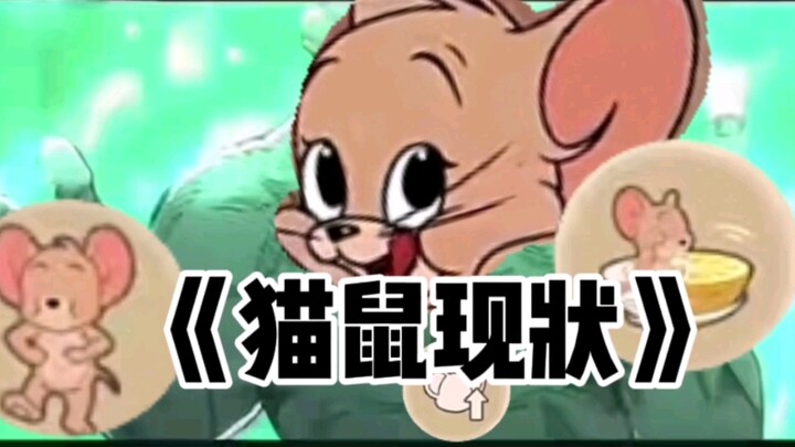 "The Current Situation of Cat and Mouse"