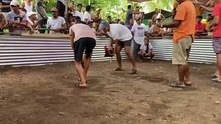 2ndday tupada 2ndfyt win