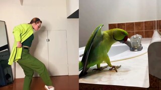 Mendesain tarian dengan meniru gerakan hewan-hewan kecil, sungguh sangat menyenangkan