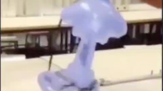 He may not be very smart, but at least he is very courageous