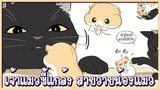 ( Yaoi ) เจ้าแมวดำขี้แกล้ง กับ เจ้าหนูขี้กลัว ตอน 2 ✿ พากย์ไทย ✿ พากย์วาย พากย์yaoi
