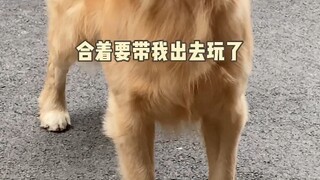 给孩子脸都气歪了