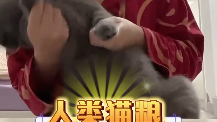 Cat: Who says there's no real empathy!