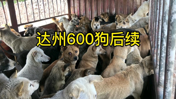 【เหลาเฟิงหยาง】12:20 ลั่งจงมาเลย!