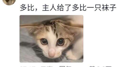 Mi: I dare not breathe, afraid one breath will suck me into a vacuum 😭