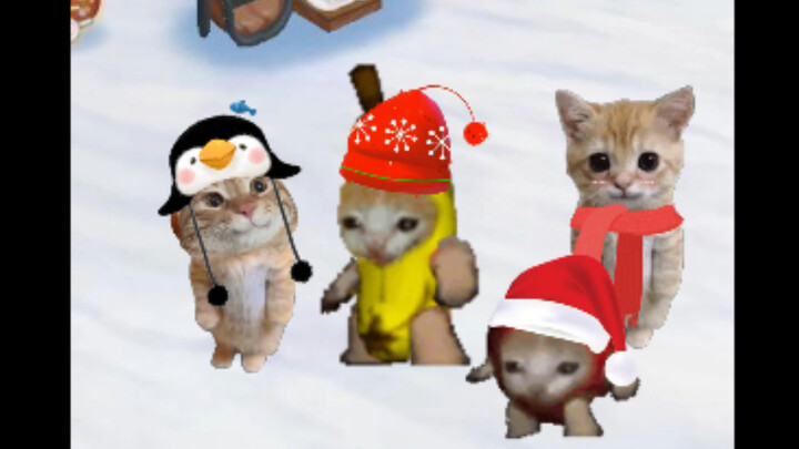 Perjalanan ke Utara Si Kucing Pisang Kembali Alami Insiden意外