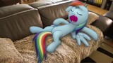 My Little Pony - Câu Chuyện Với Ngựa Con 7