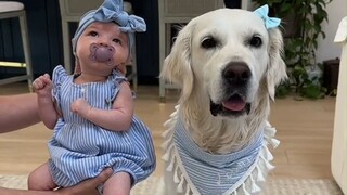 当你生的孩子，行为举止像极了家里的狗子