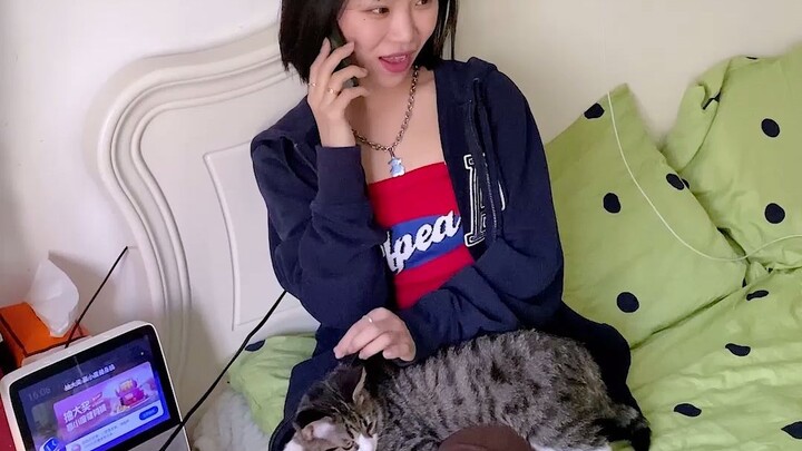 给对象打电话之《费猫》