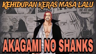 10 HAL BESAR YANG SHANKS LAKUKAN DI MASA LALU - ONE PIECE