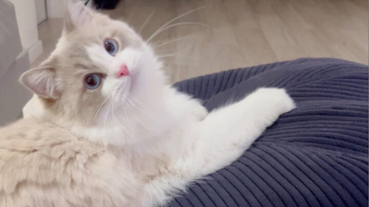 If he’d been born a few years earlier, Daji wouldn’t have had anything to do with him.