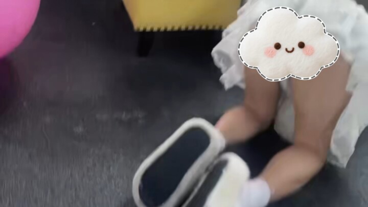 Kegiatan sehari-hari perusahaan Nanliang dalam menangkap kucing