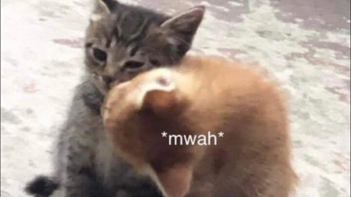 【guiflies🦋🎸】