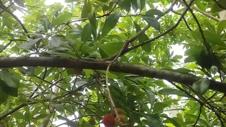 做一個乾淨的人，沒病沒災就是福。🙏🏻