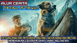 PETUALANGAN MENCARI EMAS YANG MELIMPAH || ALUR CERITA FILM THE CALL OF THE WILD|| SAQAHAYANG