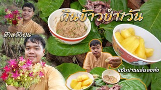 กินข้าวป่า1วัน มีปลาหมึก มีป่น มีขนน พร้อมหาของป่า!! | อ้ายนาวินChannel