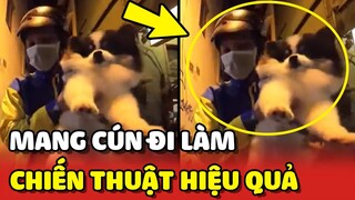 Chiến thuật mang theo Cún để chạy XE ÔM siêu HIỆU QUẢ của anh chàng Bebike 😂 | Yêu Lu