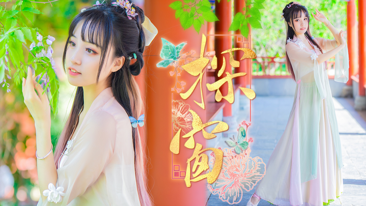 It is indeed a dance that you will fall in love with once you see it || 🍃 看窗🍃 She sang "Meeting an o