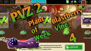PVZ 2, Plant of the Week. Blastberry Vine 4
