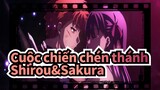 Cuộc chiến chén thánh
Shirou&Sakura
