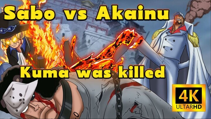 【OP 4K Anime】Kuma was killed - Sabo vs Akainu| One Piece Fan Anime