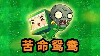 《未曾设想过的组合》