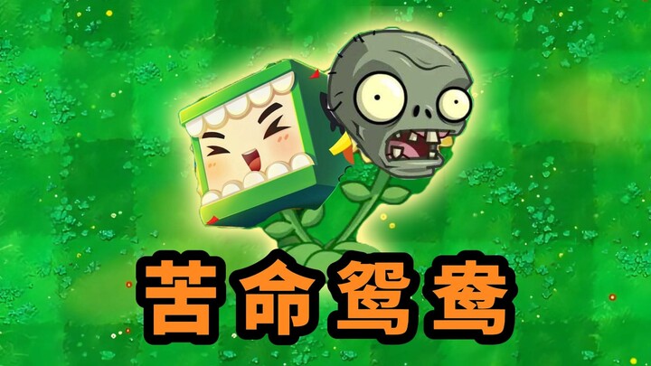 《未曾设想过的组合》