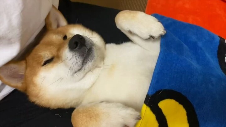 Cepat banget, ting! Langsung sikat gigi deh.