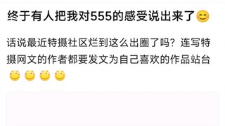 终于有人把我对555的感受说出来了