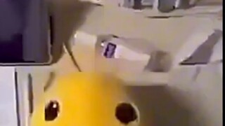 من الذي يبيع دمى "نيو نيو" المستعملة على موقع Xianyu؟