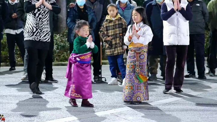 ฉูจางชัว จูม่าตัวน้อยชาวธิเบตผู้น่ารัก