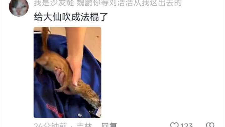 Kind-hearted girl gives her first kiss to a weasel. The weasel reports to the Underworld: “I was sav