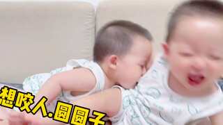 所以这俩终于要打起来了？