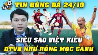 Đấu Nhật Bản, Thầy Park Chốt Hạ Siêu Sao Việt Kiều Bulgaria Khiến ĐTVN Như Rồng Mọc Cánh...NHM Vỡ Òa