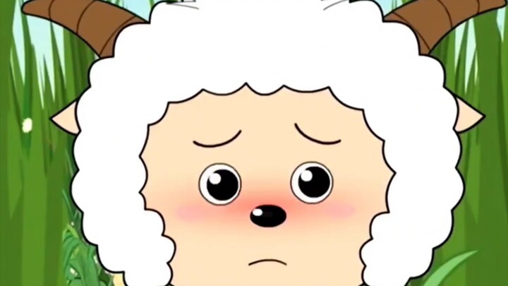 The bald lazy sheep is more adorable, more like a cute little sheep