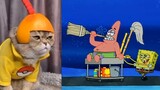 SpongeBob SquarePants feat Kucing Nakal Lucu - Bahasa Indonesia