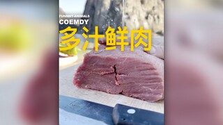 能不能好好做菜？