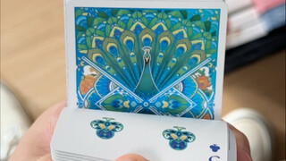 孔雀开屏？扑克牌！我玩……