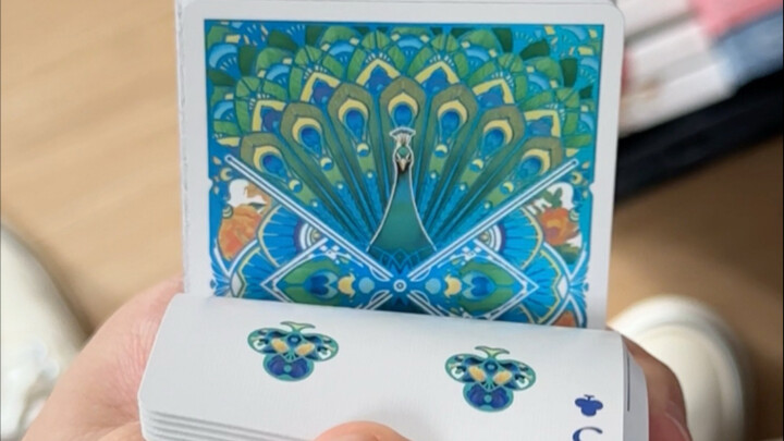 Peacock spreading its tail? Playing cards! I'm playing...