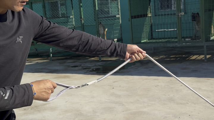 [Pan Hong Loves Playing with Dogs] has been updated—come check it out now!
