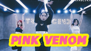 [Shengsheng Dance Studio] BLACKPINK's new song "PINK VENOM" jazz choreography practice room
