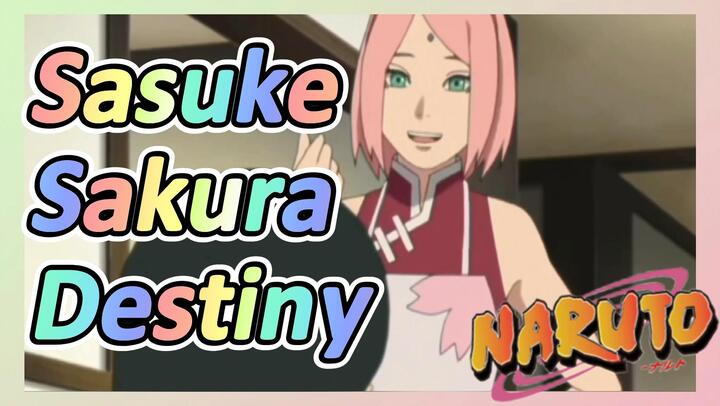 Sasuke Sakura Destiny