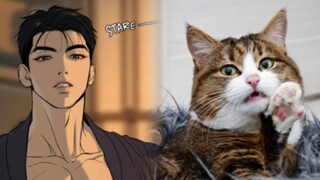 [Sihir] Episode ketiga cosplayer kucing Zai Kyung, agak aneh tapi sangat bagus! !