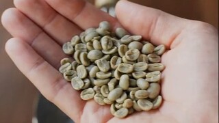 Mulai dari menyangrai biji kopi, nikmati pembuatan secangkir kopi secara mendalam