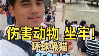 In this country, even Luo Xiang can't save you if you abuse cats.