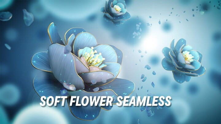 Soft Flower